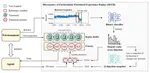 Sample Efficient Experience Replay in Non-stationary Environments