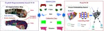 ⏳ NeurNCD - Novel Class Discovery via Implicit Neural Representation